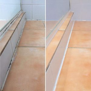 Detail & Mould Removal