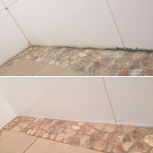Detail & Mould Removal