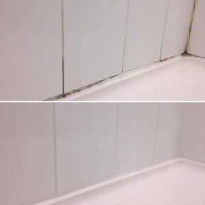 mould removal